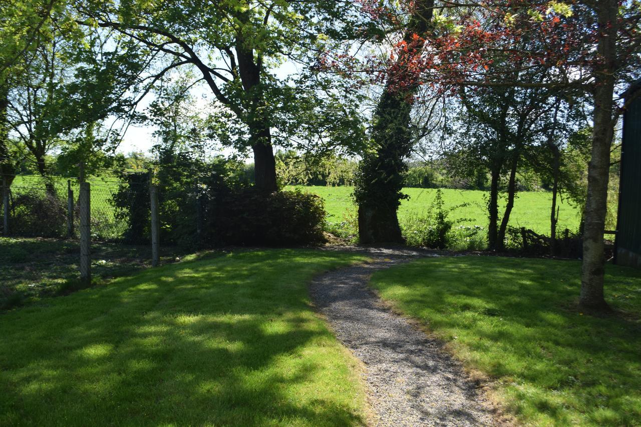 Orchard Grove Bed & Breakfast R21Rc58 Bagenalstown Exterior photo